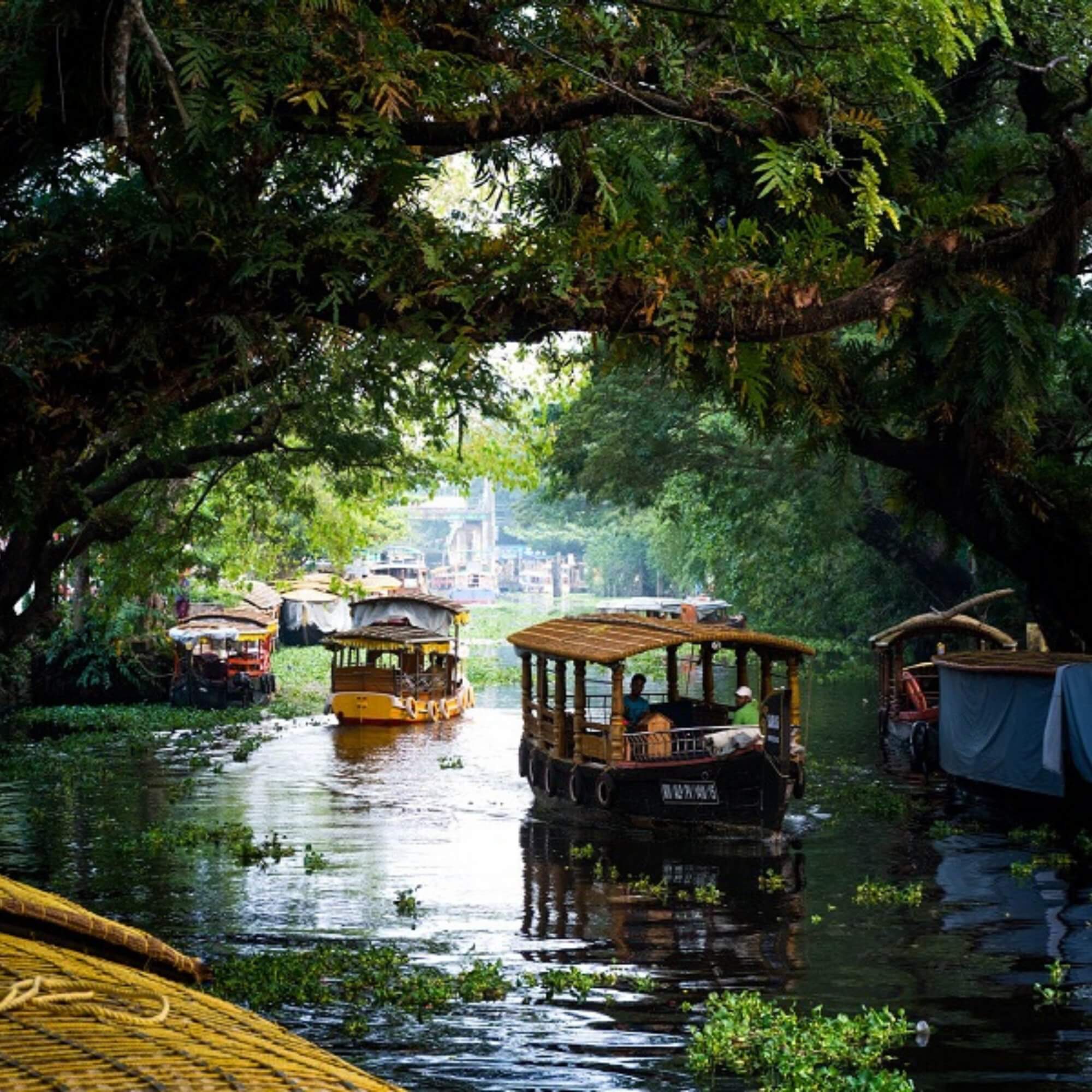 Lush greenery, tranquil backwaters, and nature’s perfect escape.