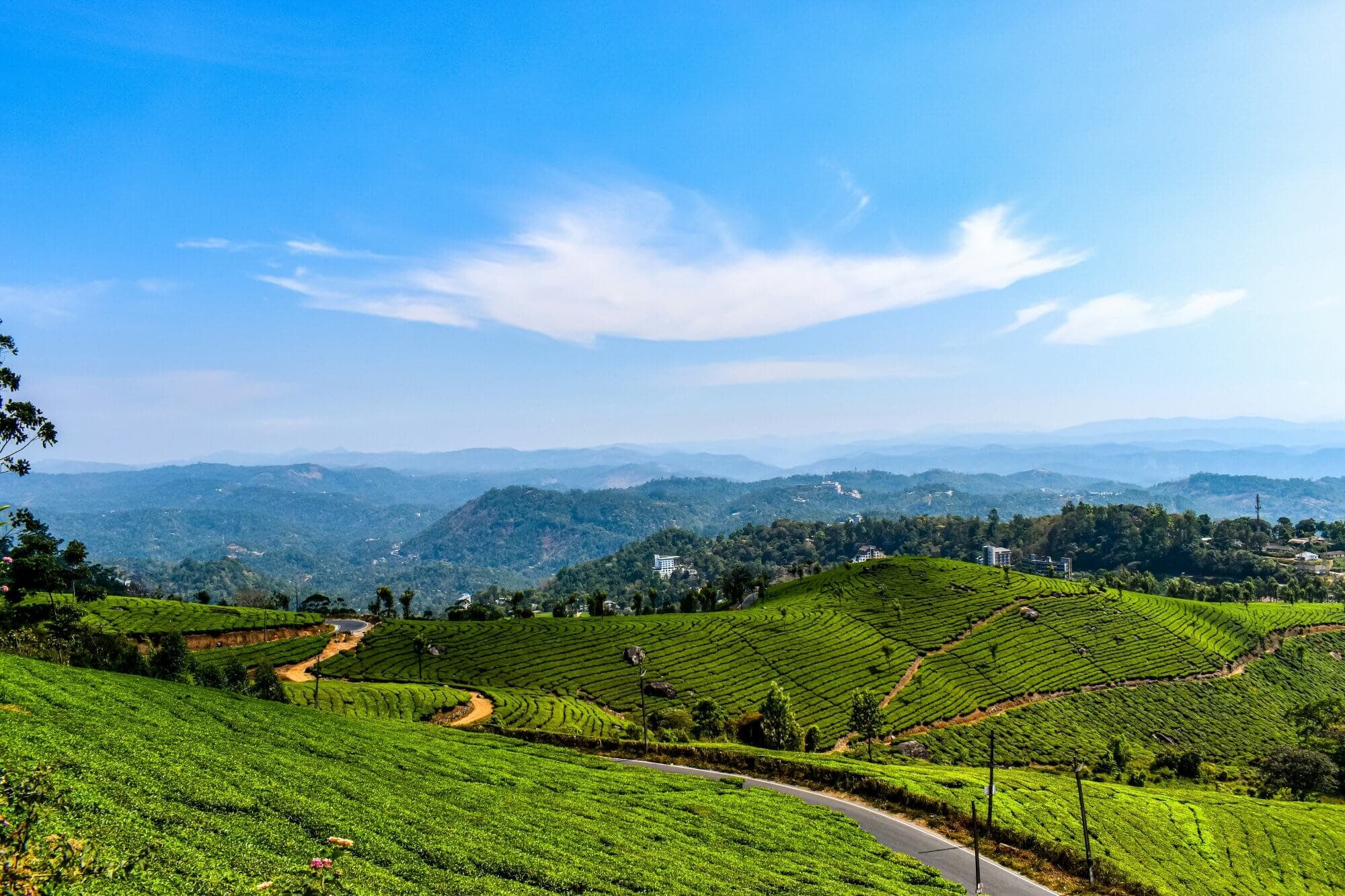 Kerala Tour Package – 5 Days / 4 Nights