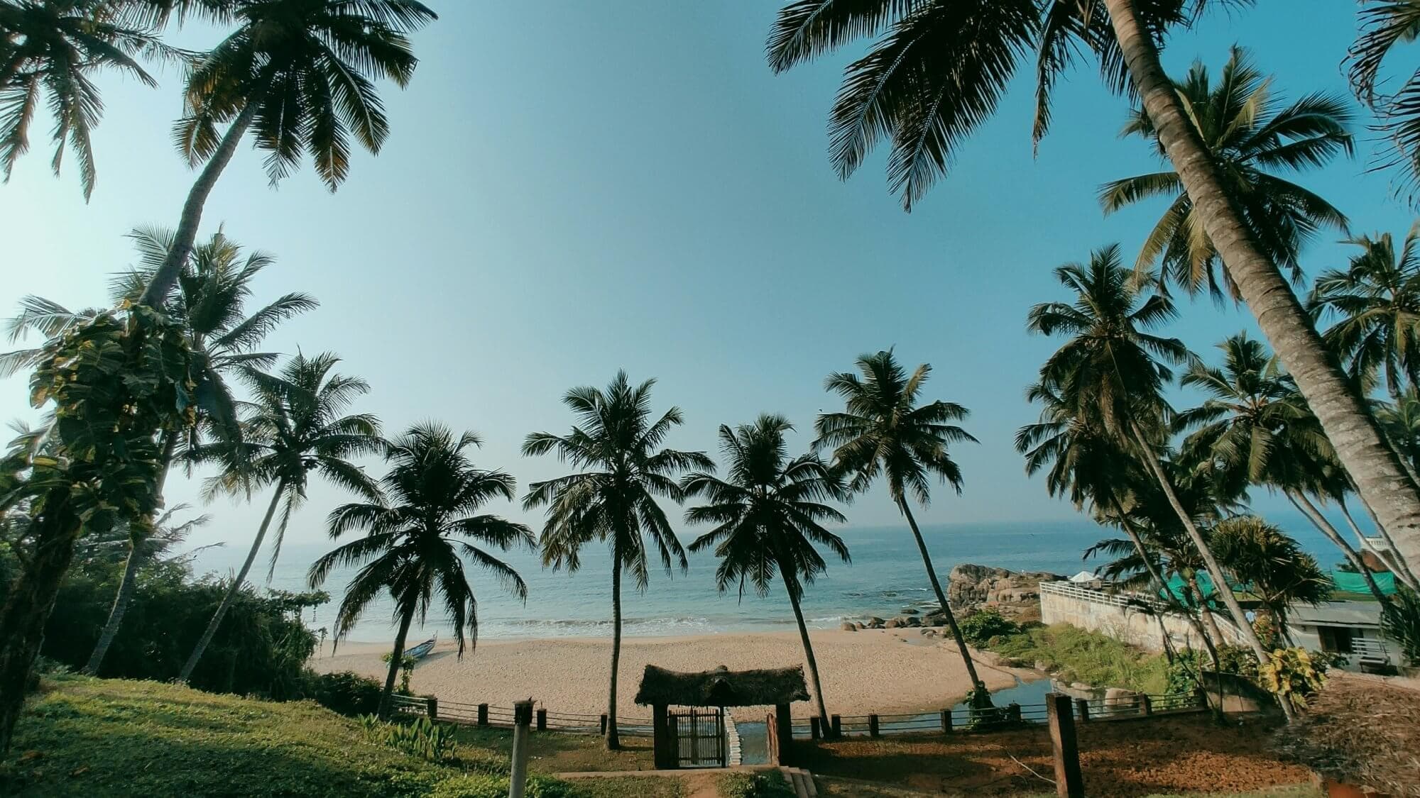 Kerala Tour Package – 6 Days / 5 Nights