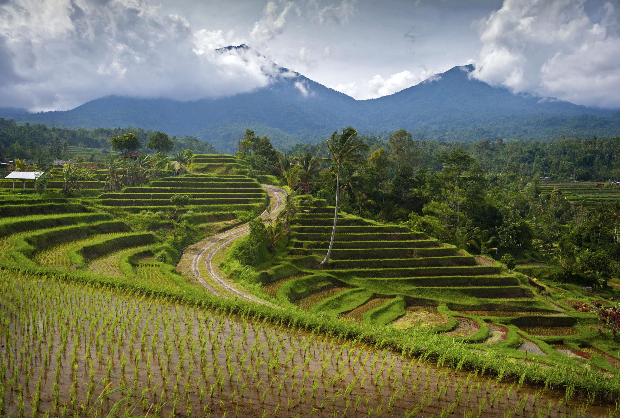 7 Days / 6 Nights Bali Deluxe Tour