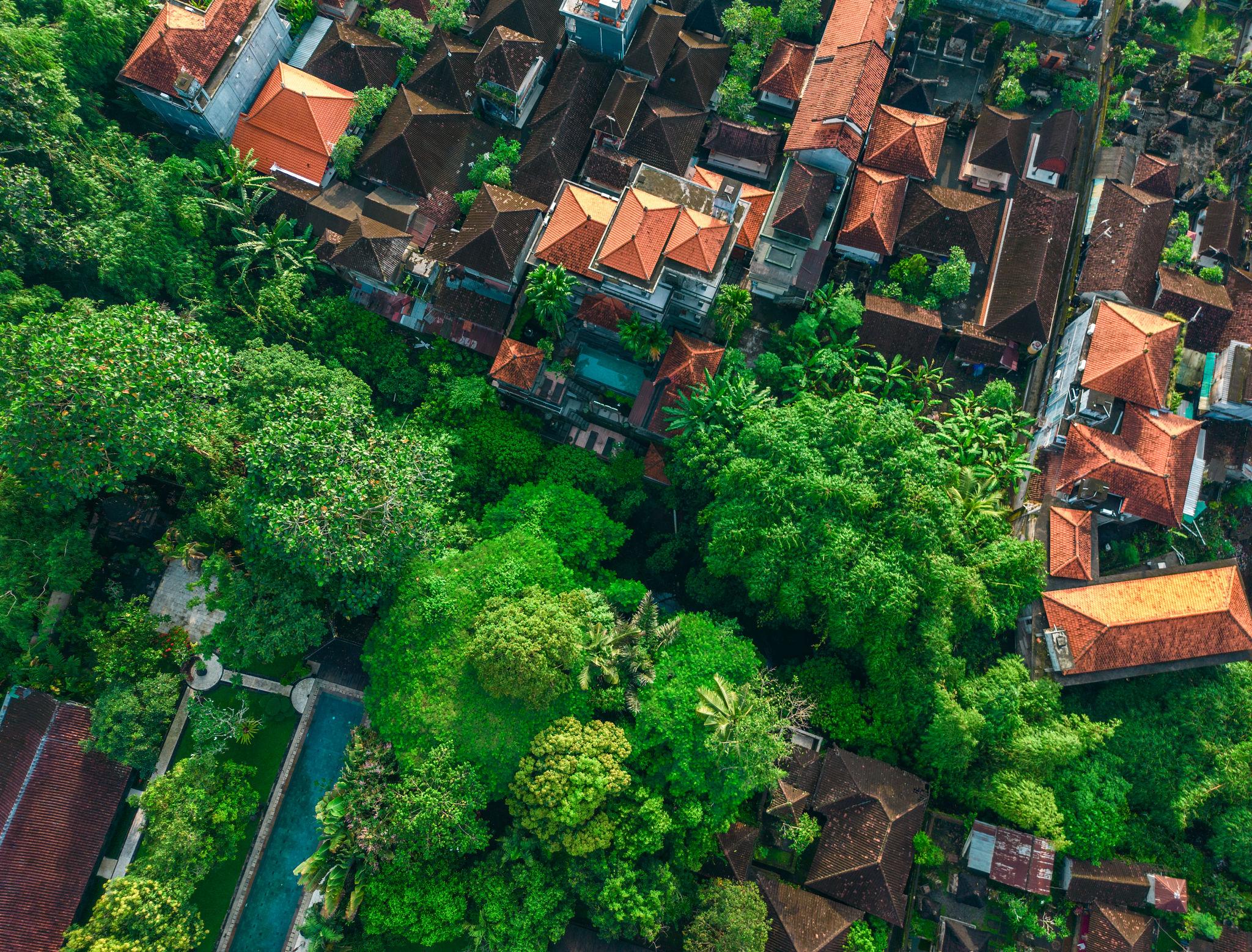 12 Days / 11 Nights Complete Bali Experience