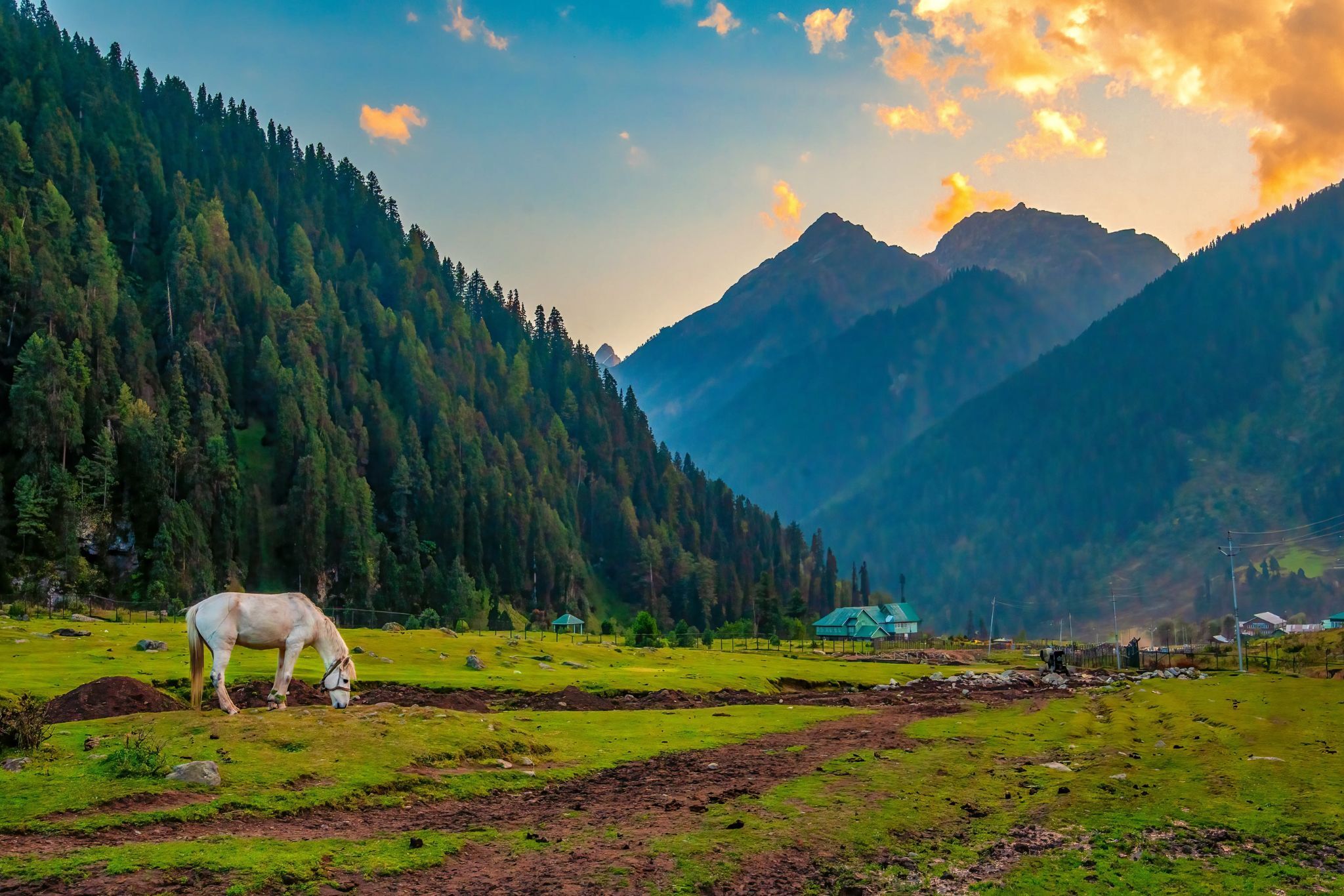 Kashmir Tour Packages